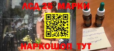 шишки Новокубанск
