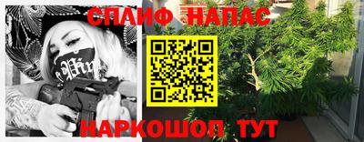 шишки Новокубанск