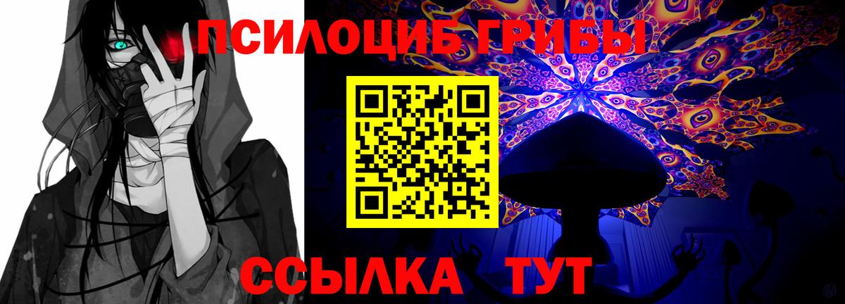 Псилоцибиновые грибы Cubensis Пугачёв