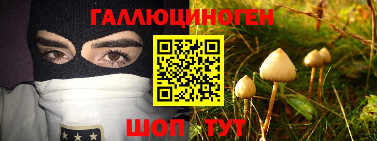 Псилоцибиновые грибы Magic Shrooms  Галлюциногенные грибы GOLDEN TEACHER  Вход с VPN  Пугачёв 